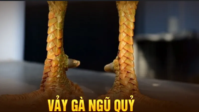 Kích thước và khoảng cách giữa các vảy phải cân đối