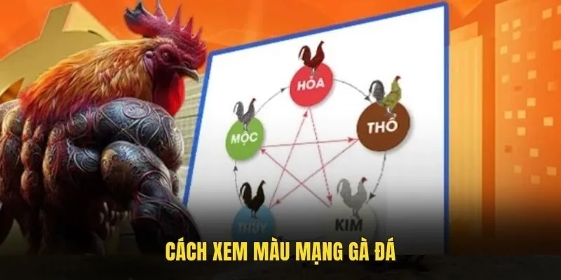 Màu mạng gà đá Xin88 cực kì quan trọng khi anh em chọn chiến kê Màu mạng gà đá Xin88 cực kì quan trọng khi anh em chọn chiến kê