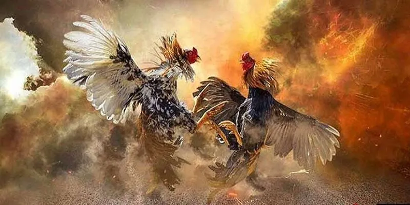 Cần nắm rõ cách đăng ký để chơi cho hiệu quả Cần nắm rõ cách đăng ký để chơi cho hiệu quả